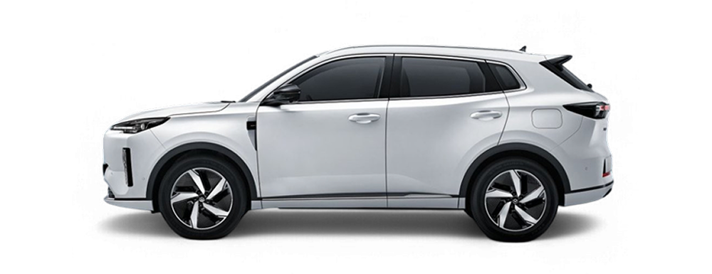 Premium 2026 Precio*