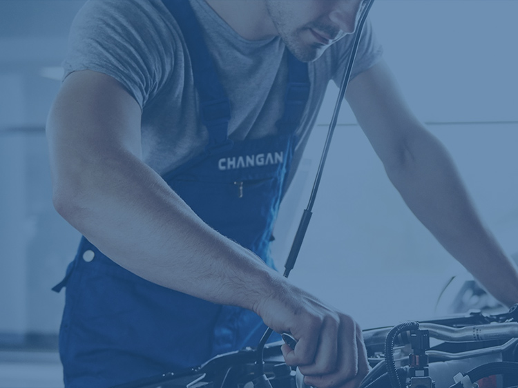 Servicio Changan