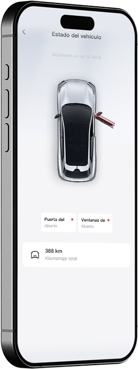 Estado del vehículo